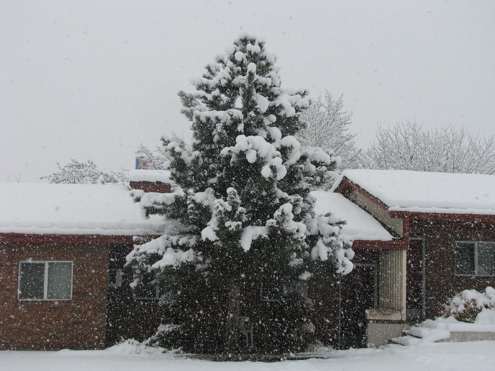 Frontier Lodge Glenwood Springs Exterior foto